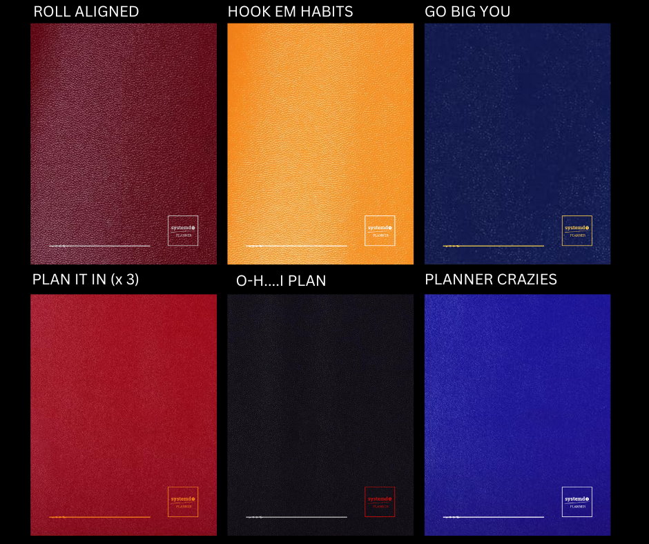 Systemdo1 | The best 2025 planner for growth.